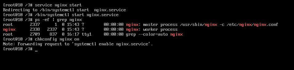 chkconfig nginx on